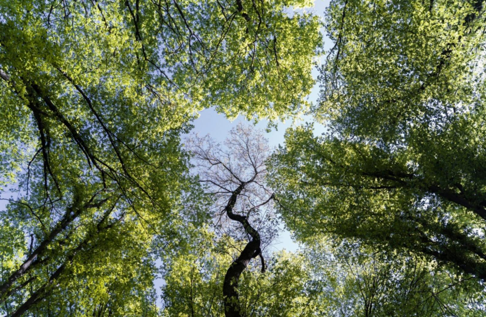 Scientific publications on industrial ecology