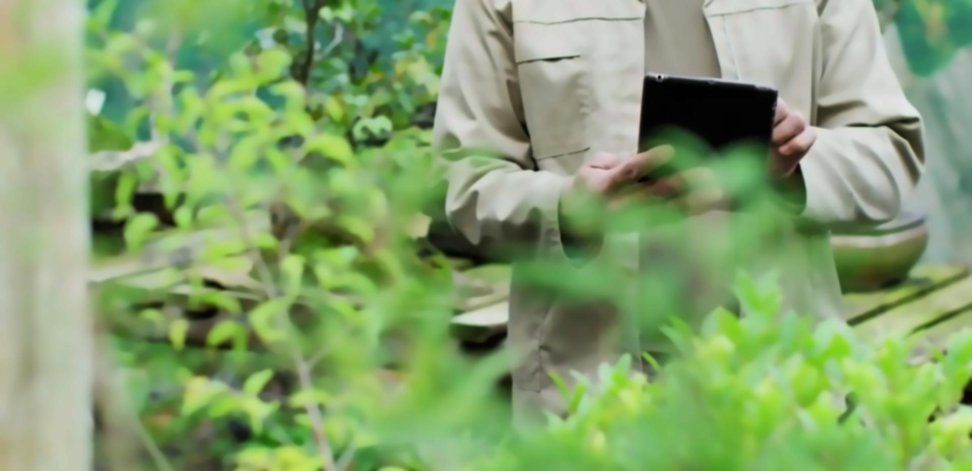 What Actually Goes Into an Environmental Monitoring Programme
